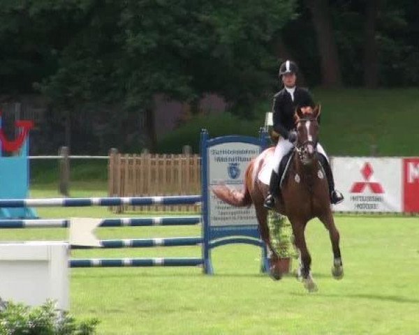 dressage horse Quantico (German Sport Horse, 2008, from Quaterback)