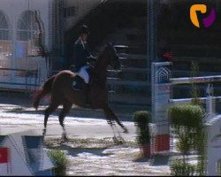 jumper Efendi (Hanoverian, 2002, from Escudo I)