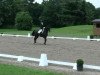 dressage horse Floyd 21 (Rhinelander, 1996, from Feiner Ludwig)