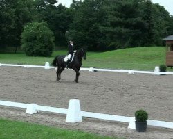 dressage horse Floyd 21 (Rhinelander, 1996, from Feiner Ludwig)