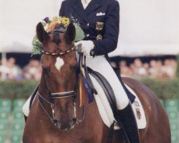 dressage horse Rusty 47 (Latvian Warmblood, 1988, from Rebuss)