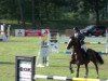 jumper Cavallo 57 (Holsteiner, 2005, from Collini)