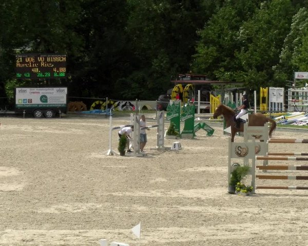 Reitturnier Maienfeld 2022