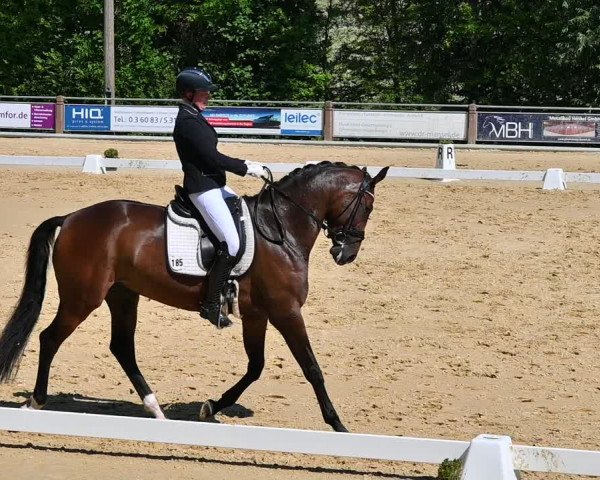 Reitturnier Uder, Reitanlage Kobold 2022