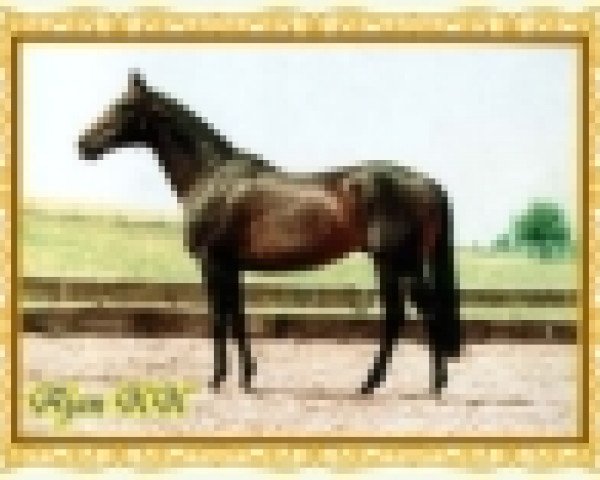 horse Ajan xx (Thoroughbred, 1982, from Gidron xx)