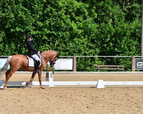 Reitturnier Uder, Reitanlage Kobold 2022
