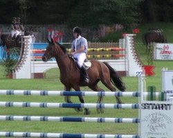 jumper Rookie 7 (Trakehner, 1997, from Komponist)