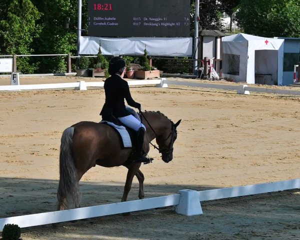 Reitturnier Uder, Reitanlage Kobold 2022