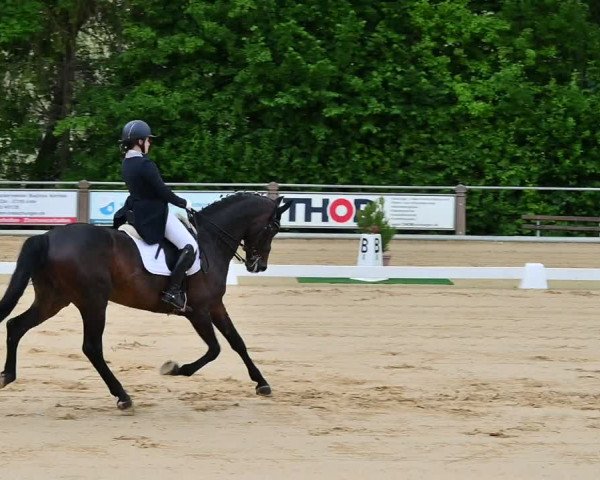 Reitturnier Uder, Reitanlage Kobold 2022