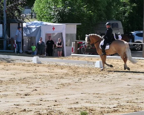 Reitturnier Uder, Reitanlage Kobold 2022