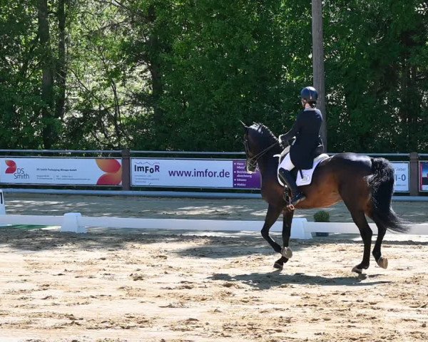Reitturnier Uder, Reitanlage Kobold 2022