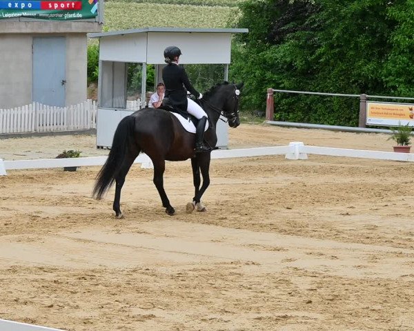 Reitturnier Uder, Reitanlage Kobold 2022