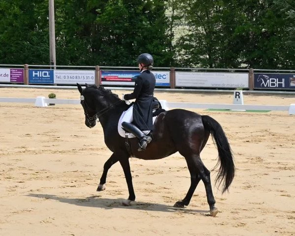 Reitturnier Uder, Reitanlage Kobold 2022
