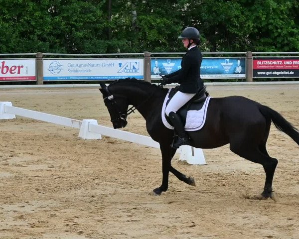 Reitturnier Uder, Reitanlage Kobold 2022