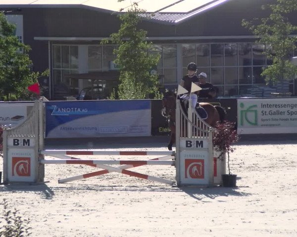 Reitturnier Gossau 2022