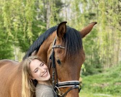 dressage horse Vogue‘s VIP (Hanoverian, 2017, from Vitalis)