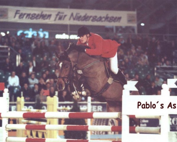 stallion Pablos As (Oldenburg, 1992, from Pablo)