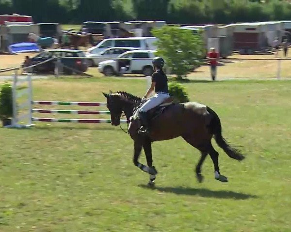 Reitturnier Bad Windsheim/Mfr. 2022