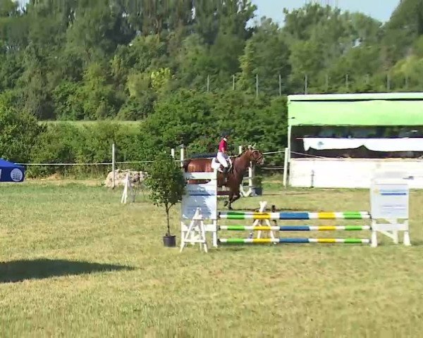 Reitturnier Bad Windsheim/Mfr. 2022