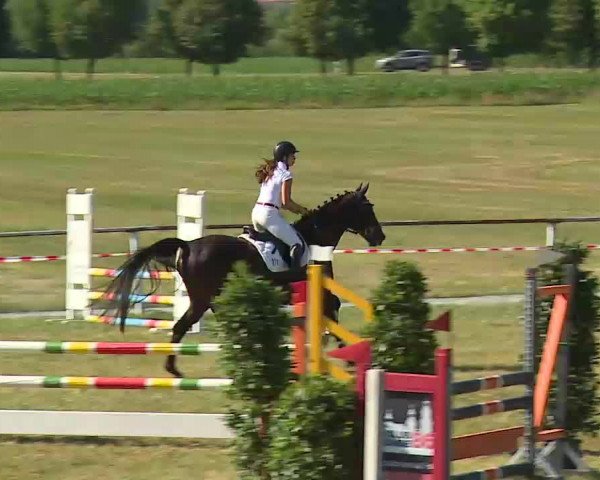 Reitturnier Bad Windsheim/Mfr. 2022