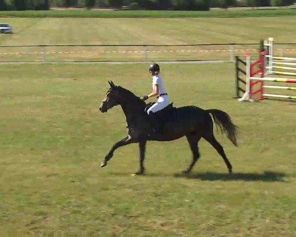 Reitturnier Bad Windsheim/Mfr. 2022