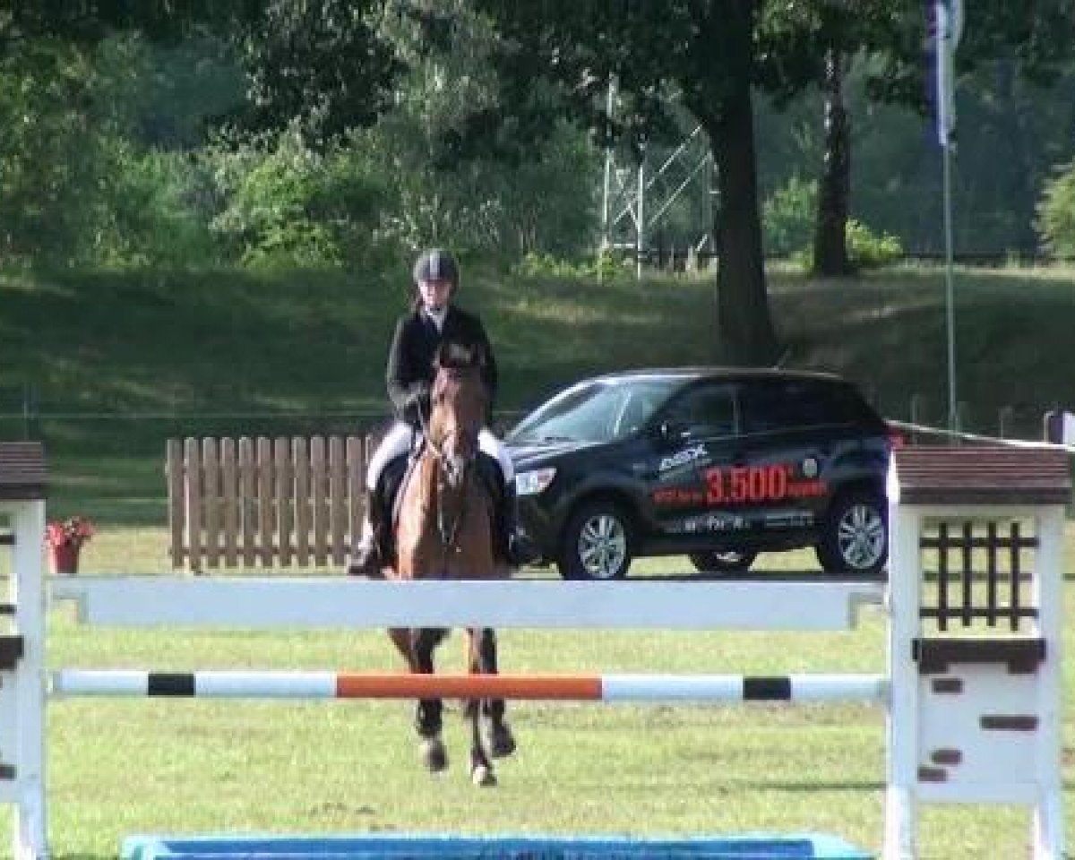 jumper Carnando's Boy (Holsteiner, 2002, from Carnando)