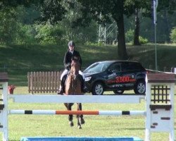 jumper Carnando's Boy (Holsteiner, 2002, from Carnando)