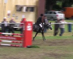 Springpferd Welcome Sauteur (Deutsches Reitpony, 2003, von Welcome Sharan II)