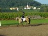 dressage horse Santo (Welsh-Pony (Section B), 1989)