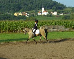 dressage horse Santo (Welsh-Pony (Section B), 1989)