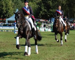 dressage horse Dick Tracy OLD (Oldenburg, 2000, from De Niro)