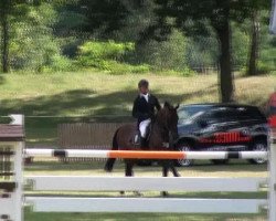 broodmare Quidam's Diamantin (Hanoverian, 2005, from Quidam's Rubin)