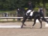 dressage horse Da Capo 123 (Oldenburg, 1999, from Day Dream)