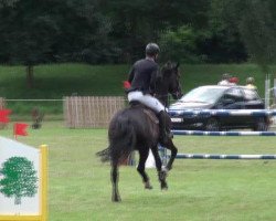 jumper Dark Beauty 10 (Hanoverian, 2003, from Drosselklang II)