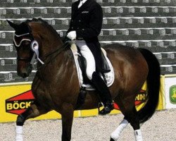 dressage horse Darjeeling 5 (Oldenburg, 2001, from De Niro)