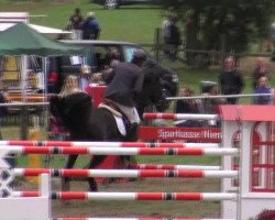 jumper Orland Di Campalto (Italian Warmblood, 2003, from Corland)