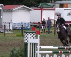 jumper Qlitschko (Holsteiner, 2005, from Quantum)