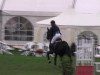 jumper Fordalme G (Hanoverian, 2006, from Forrester)