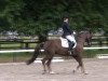 dressage horse Abado 3 (Bavarian, 2005, from Abanos)