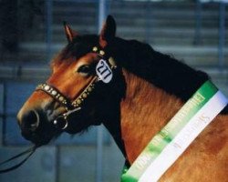 broodmare Elisa (Rhenish-German Cold-Blood, 1997, from Eichberg III)