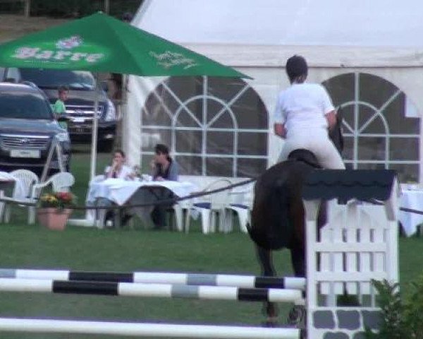 jumper Santino 63 (Hanoverian, 1996, from Silvio I)