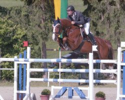 broodmare Emilie de Ravin (Hanoverian, 2005, from Escudo I)