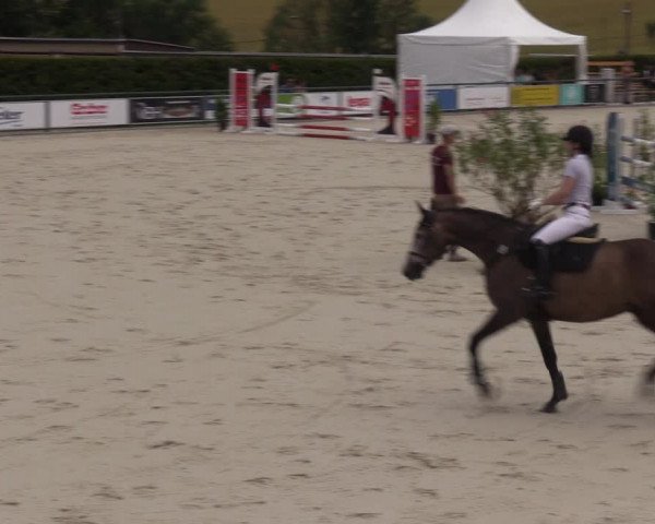 Reitturnier Immenrode 2022
