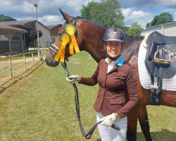 dressage horse Forever Brilliant (German Warmblood, 2017, from For Dance)