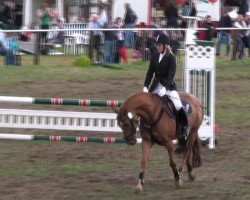 jumper Derby (German Riding Pony, 2002, from Deister)