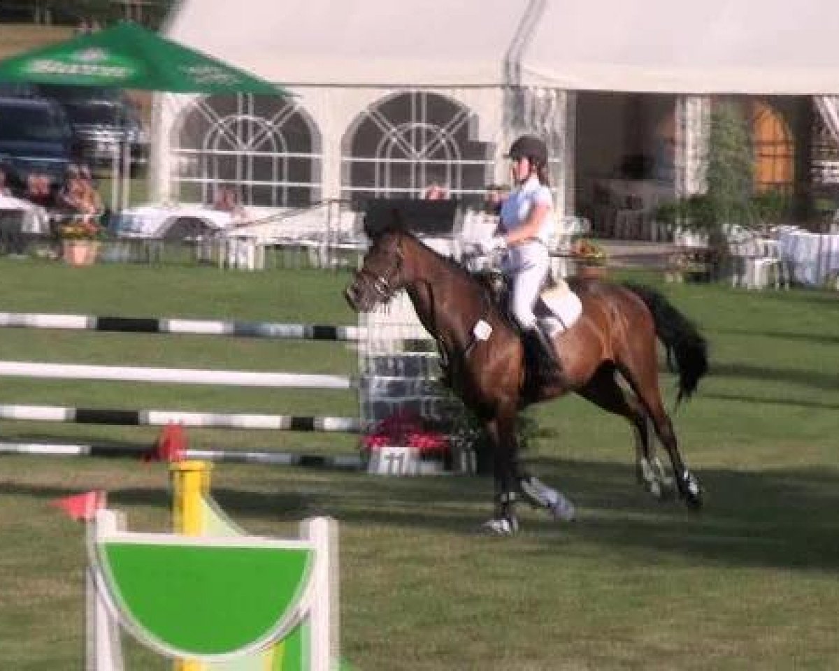 jumper Carry's Mylani (Oldenburg, 2005, from Carry Gold)