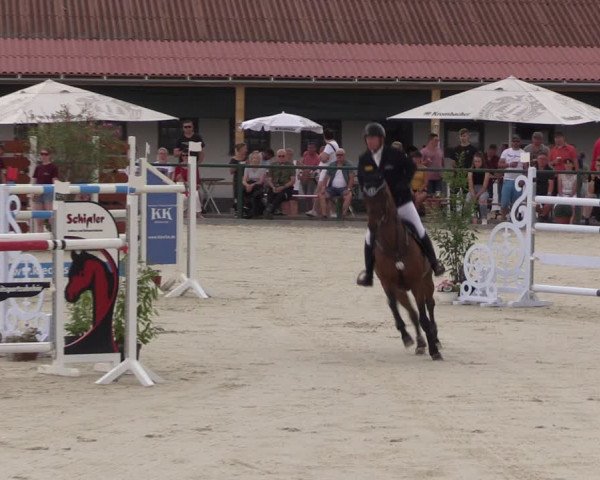 Reitturnier Immenrode 2022