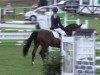 jumper Fidelio 282 (Hanoverian, 2008, from Fundskerl)