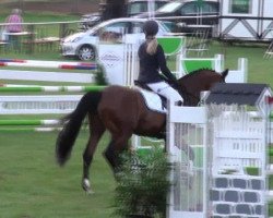 jumper Fidelio 282 (Hanoverian, 2008, from Fundskerl)