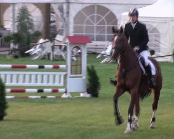 jumper Annie 35 (Hanoverian, 2008, from Adlantus As)